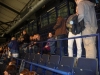 osc-vs-oldenburg-tischtennis-landesliga-weser-ems-hamburg-freezers-redbull-muenchen-eishockey-2013-094